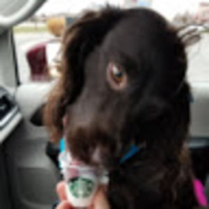 Meet your Posher, Mckenna